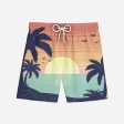 Tropical Summer Theme Designed Swim Trunks & Shorts Sale